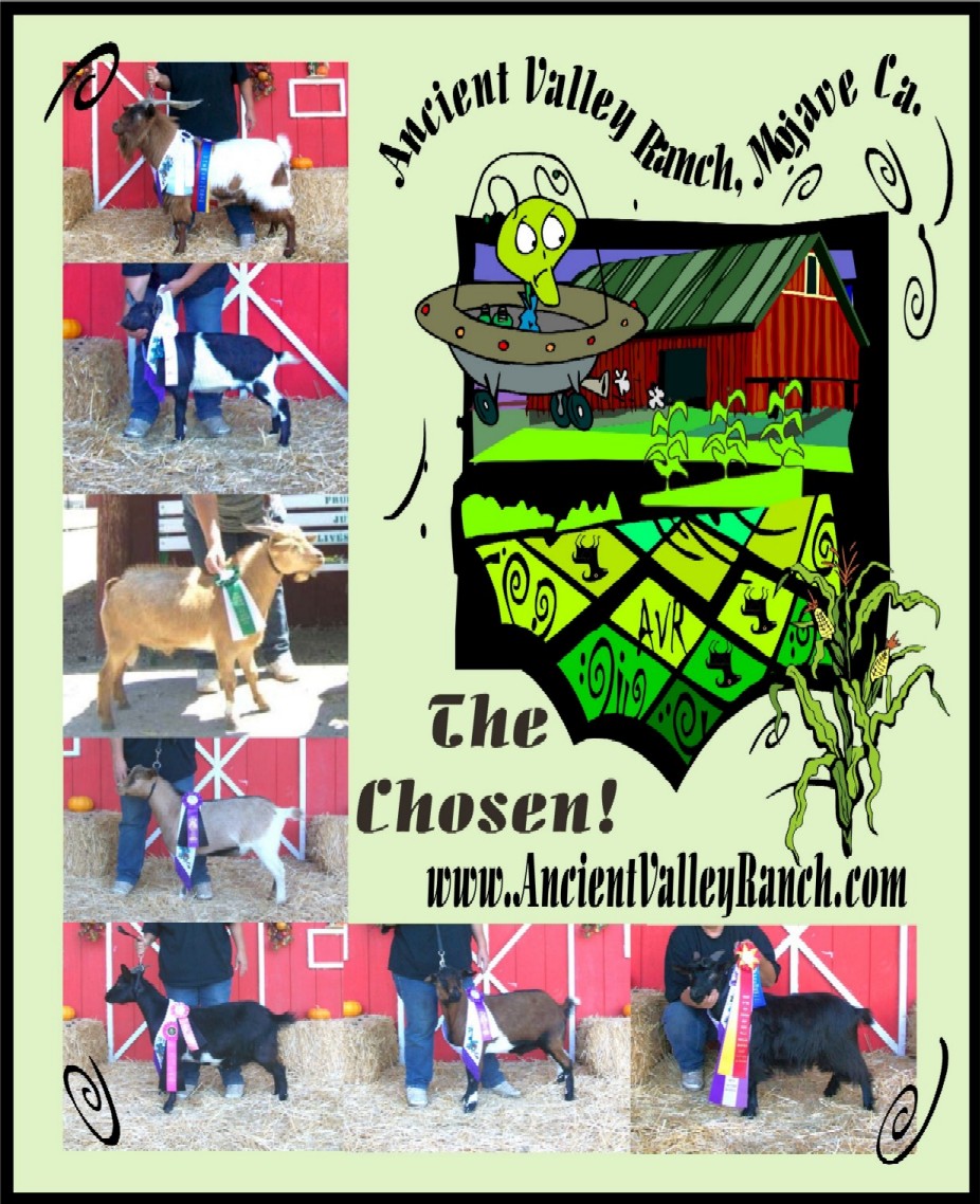 Click to view website